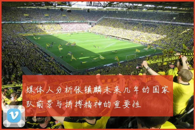 媒体人分析张镇麟未来几年的国家队前景与拼搏精神的重要性